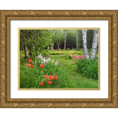 Canada, New Brunswick, garden and forest Gold Ornate Wood Framed Art Print with Double Matting by Anon, Ellen
