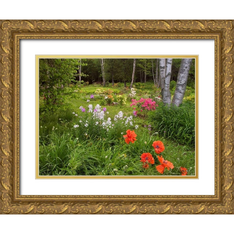Canada, New Brunswick, garden and forest Gold Ornate Wood Framed Art Print with Double Matting by Anon, Ellen