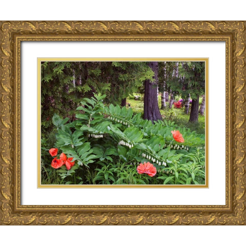 Canada, New Brunswick Wildflowers Gold Ornate Wood Framed Art Print with Double Matting by Anon, Ellen