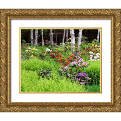 Canada, New Brunswick, garden and forest Gold Ornate Wood Framed Art Print with Double Matting by Anon, Ellen