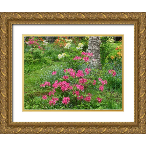 Canada, New Brunswick, Garden flowers Gold Ornate Wood Framed Art Print with Double Matting by Anon, Ellen