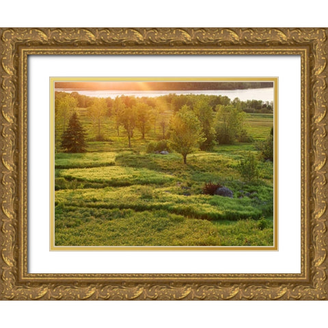 Canada, New Brunswick Sunset over St John River Gold Ornate Wood Framed Art Print with Double Matting by Anon, Ellen
