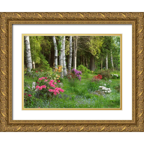 Canada, New Brunswick, Forest and garden Gold Ornate Wood Framed Art Print with Double Matting by Anon, Ellen