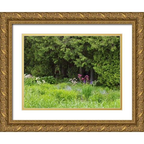 Canada, New Brunswick, Forest and garden Gold Ornate Wood Framed Art Print with Double Matting by Anon, Ellen