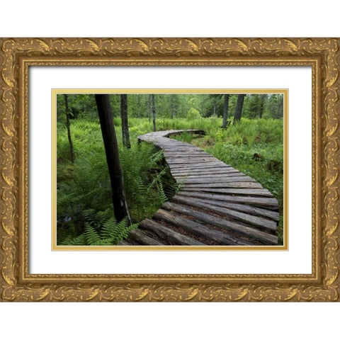 Canada, New Brunswick Log walkway in forest Gold Ornate Wood Framed Art Print with Double Matting by Anon, Ellen