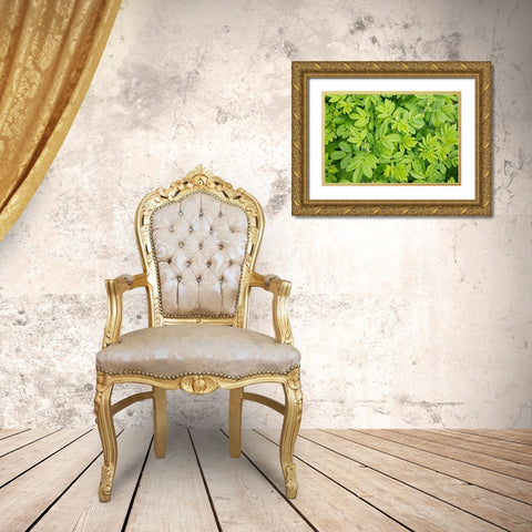 Canada, New Brunswick Leafy vegetation Gold Ornate Wood Framed Art Print with Double Matting by Anon, Ellen
