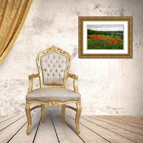 Canada, New Brunswick Flowers and St John River Gold Ornate Wood Framed Art Print with Double Matting by Anon, Ellen