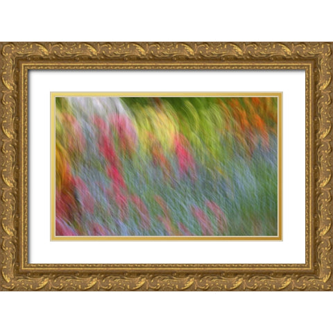 Canada Abstract blur of garden colors Gold Ornate Wood Framed Art Print with Double Matting by Anon, Ellen