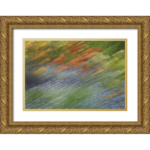 Canada Abstract blur of garden colors Gold Ornate Wood Framed Art Print with Double Matting by Anon, Ellen