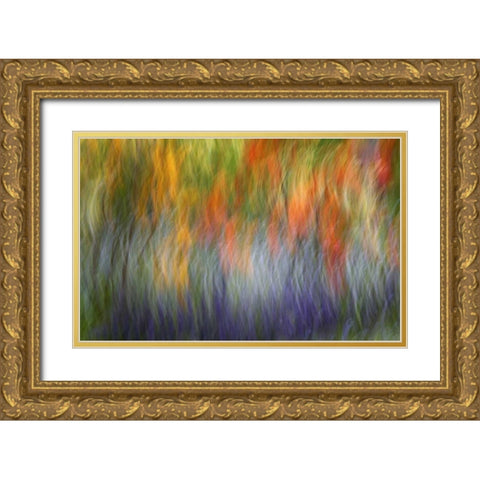 Canada Abstract blur of garden colors Gold Ornate Wood Framed Art Print with Double Matting by Anon, Ellen
