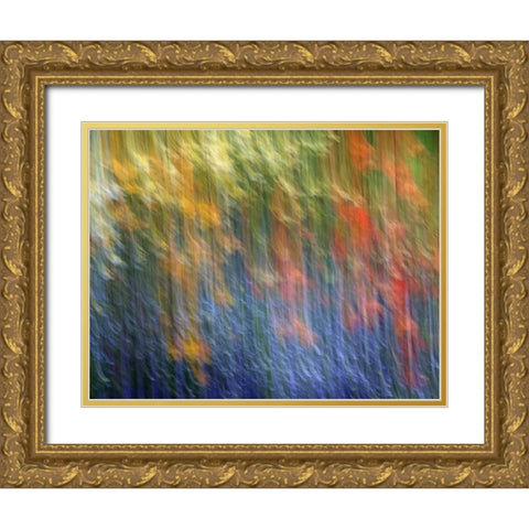 Canada Abstract blur of garden colors Gold Ornate Wood Framed Art Print with Double Matting by Anon, Ellen