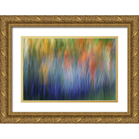 Canada Abstract blur of garden colors Gold Ornate Wood Framed Art Print with Double Matting by Anon, Ellen