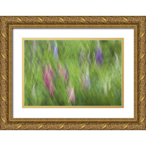 Canada Abstract blur of garden colors Gold Ornate Wood Framed Art Print with Double Matting by Anon, Ellen