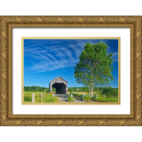 Canada-New Brunswick-Riverside-Albert Sawmill Creek covered bridge Gold Ornate Wood Framed Art Print with Double Matting by Jaynes Gallery