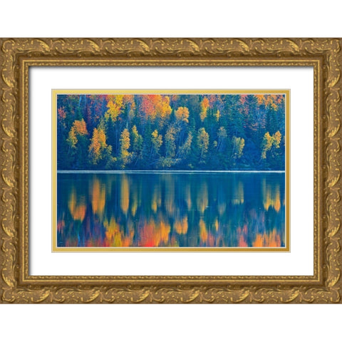 Canada-New Brunswick-Mactaquac Autumn forest reflections on St John River Gold Ornate Wood Framed Art Print with Double Matting by Jaynes Gallery