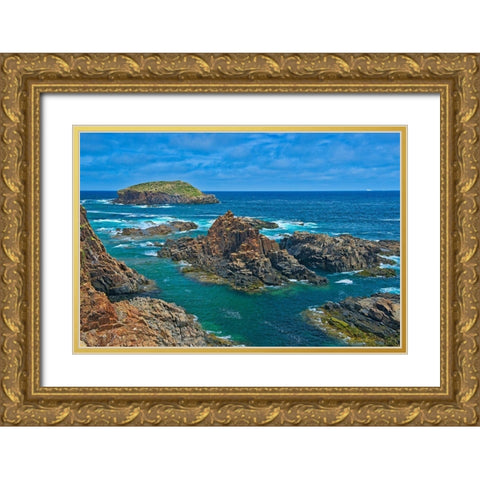 Canada-Newfoundland-Elliston Rocky shoreline on Atlantic Ocean Gold Ornate Wood Framed Art Print with Double Matting by Jaynes Gallery