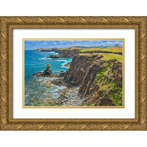 Canada-Newfoundland-Elliston Rocky shoreline on Atlantic Ocean Gold Ornate Wood Framed Art Print with Double Matting by Jaynes Gallery
