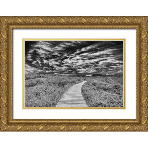 Canada-Newfoundland-Gros Morne National Park Boardwalk through underbrush Gold Ornate Wood Framed Art Print with Double Matting by Jaynes Gallery