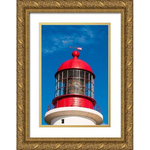 Cape Race Lighthouse-Cape Race-Avalon Peninsula-Newfoundland-Canada Gold Ornate Wood Framed Art Print with Double Matting by DeFreitas, Michael