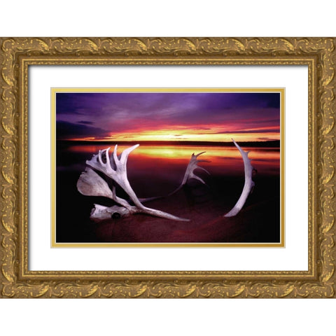 Canada, Whitefish Lake Sunset on caribou antlers Gold Ornate Wood Framed Art Print with Double Matting by Welling, Dave