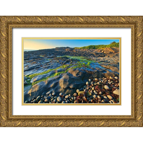 Canada-Nova Scotia Rocky shoreline along Bay of Fundy Gold Ornate Wood Framed Art Print with Double Matting by Jaynes Gallery