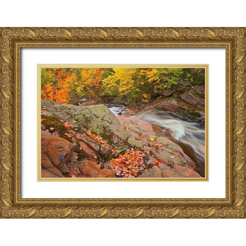 Canada-Nova Scotia Mary-Anne Falls and forest in autumn foliage Gold Ornate Wood Framed Art Print with Double Matting by Jaynes Gallery