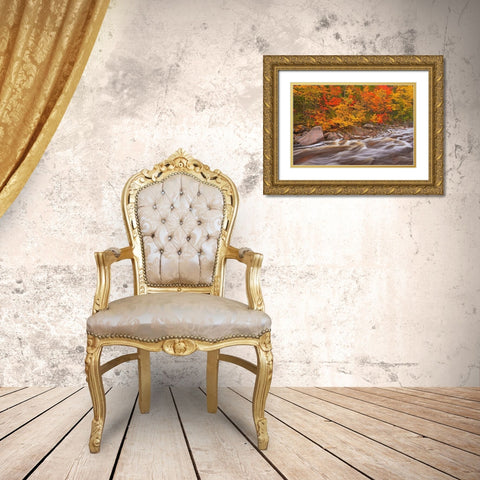 Canada-Nova Scotia Mary-Anne Falls and forest in autumn foliage Gold Ornate Wood Framed Art Print with Double Matting by Jaynes Gallery