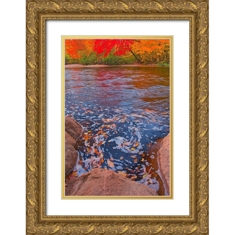 Canada-Nova Scotia-Cape Breton Island North Aspy River and forest in autumn Gold Ornate Wood Framed Art Print with Double Matting by Jaynes Gallery