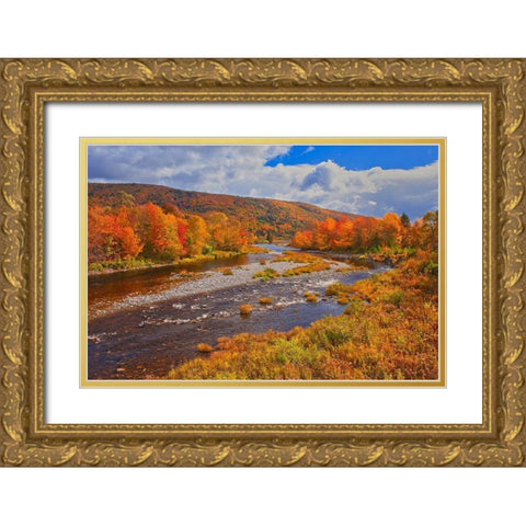 Canada-Nova Scotia-Cape Breton Island The North River and forest in autumn foliage Gold Ornate Wood Framed Art Print with Double Matting by Jaynes Gallery