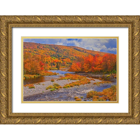 Canada-Nova Scotia-Cape Breton Island The North River and forest in autumn foliage Gold Ornate Wood Framed Art Print with Double Matting by Jaynes Gallery