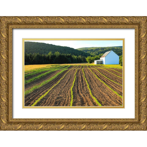 Canada-Nova Scotia-Cape Breton-Miller Farm-Margaree Gold Ornate Wood Framed Art Print with Double Matting by Wall, Patrick J.