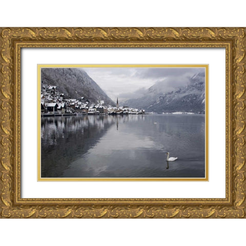 Austria, Hallstatt Swan on Lake Hallstatt Gold Ornate Wood Framed Art Print with Double Matting by Young, Bill