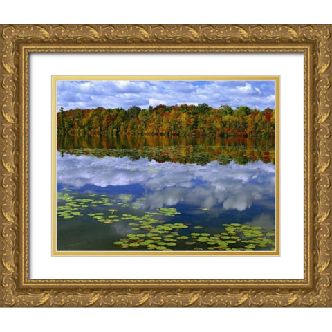 Canada, Ontario Park Haven Lake in autumn Gold Ornate Wood Framed Art Print with Double Matting by Flaherty, Dennis