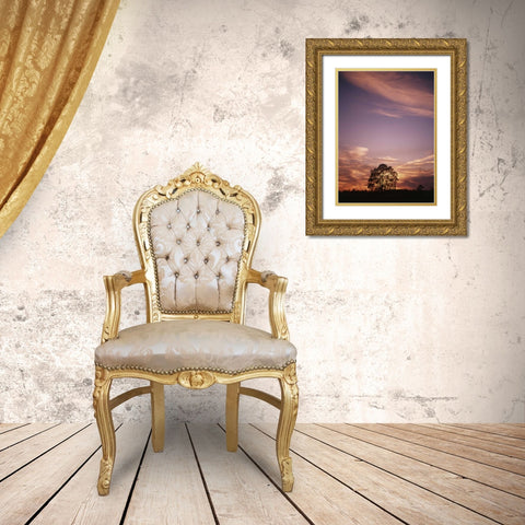 Canada, Ontario, Breslau, tree at sunset Gold Ornate Wood Framed Art Print with Double Matting by Grandmaison, Mike