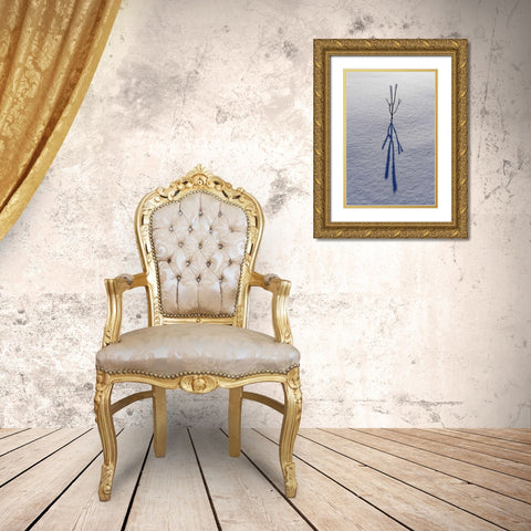 Canada, Ontario, Bourget Plant shadow on snow Gold Ornate Wood Framed Art Print with Double Matting by Grandmaison, Mike