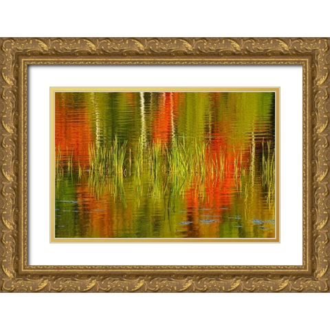 Canada, Baysville Cattails and fall reflections Gold Ornate Wood Framed Art Print with Double Matting by Grandmaison, Mike