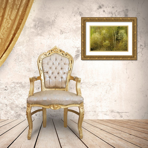 Canada, Utterson Serviceberry in spring foliage Gold Ornate Wood Framed Art Print with Double Matting by Grandmaison, Mike