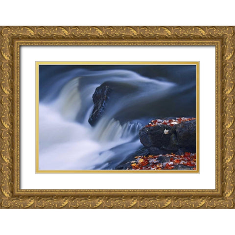 Canada, Emsdale Maple leaves by Magnetewan River Gold Ornate Wood Framed Art Print with Double Matting by Grandmaison, Mike