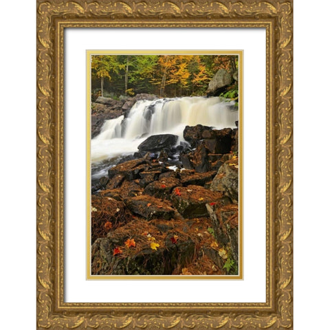 Canada, Emsdale Maple leaves by Magnetewan River Gold Ornate Wood Framed Art Print with Double Matting by Grandmaison, Mike