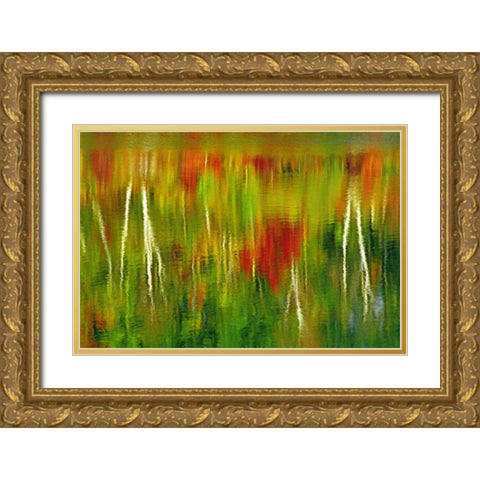 Canada Fall reflection in St Poithier Lake Gold Ornate Wood Framed Art Print with Double Matting by Grandmaison, Mike