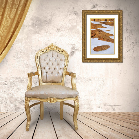 Canada, Killarney PP Animal tracks in snow Gold Ornate Wood Framed Art Print with Double Matting by Grandmaison, Mike