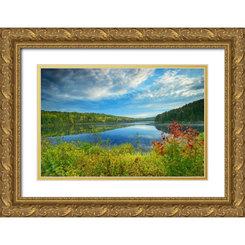 Canada, Algonquin PP Landscape of Costello Lake Gold Ornate Wood Framed Art Print with Double Matting by Grandmaison, Mike