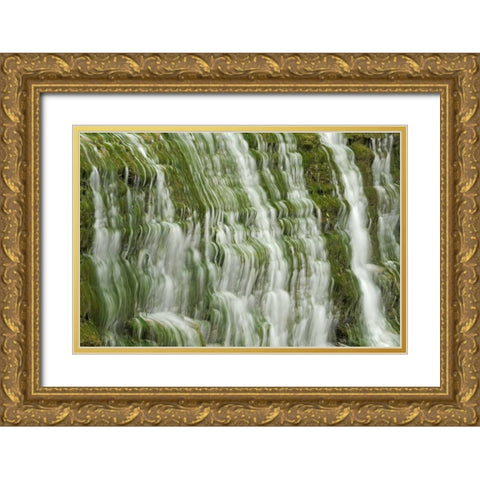 Canada, Ontario, Grimsby Beamer Falls cascading Gold Ornate Wood Framed Art Print with Double Matting by Grandmaison, Mike