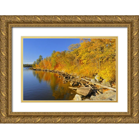Canada, Ontario, Autumn at Lake of the Woods Gold Ornate Wood Framed Art Print with Double Matting by Grandmaison, Mike