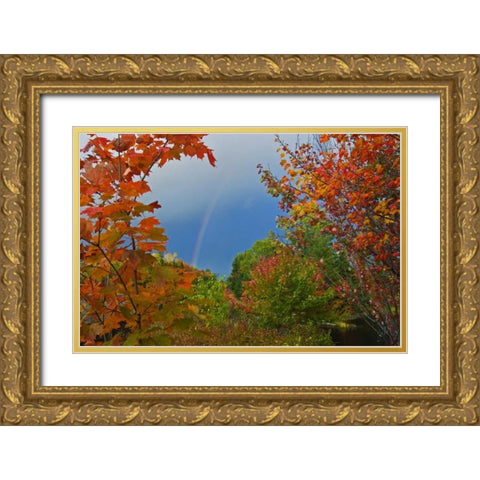 Canada, Ontario Rainbow and maples in autumn Gold Ornate Wood Framed Art Print with Double Matting by Grandmaison, Mike