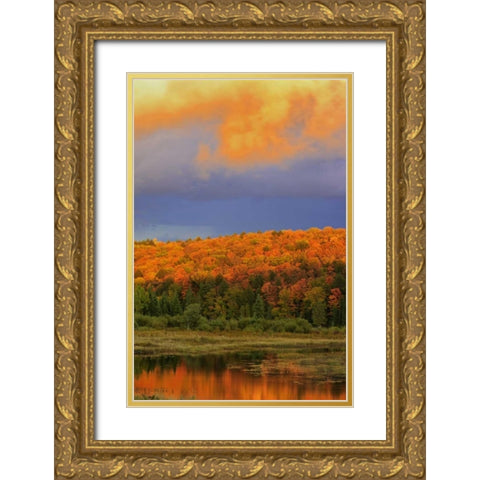 Canada, Ontario, Oxtongue Lake Sky and forest Gold Ornate Wood Framed Art Print with Double Matting by Grandmaison, Mike