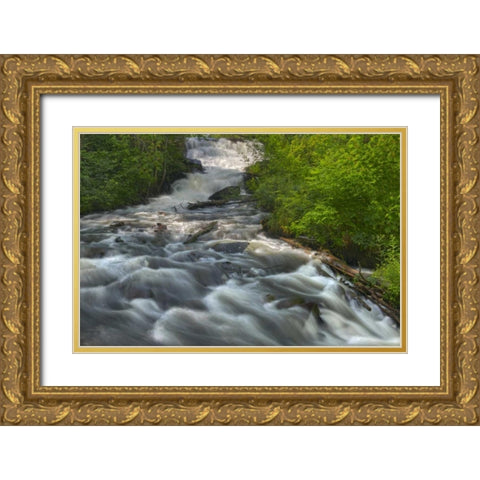 Canada, Ontario, Raleigh Falls in spring Gold Ornate Wood Framed Art Print with Double Matting by Grandmaison, Mike