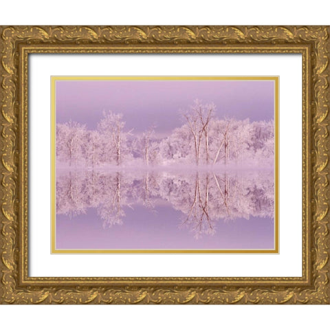Canada, Ottawa Frosted trees by Shirleys Bay Gold Ornate Wood Framed Art Print with Double Matting by Young, Bill