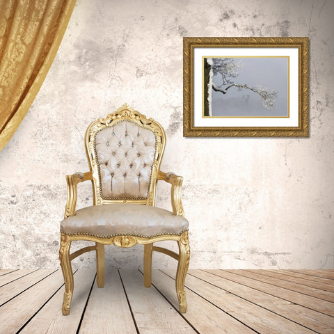 Canada, Ottawa, Frosty branches in fog Gold Ornate Wood Framed Art Print with Double Matting by Young, Bill