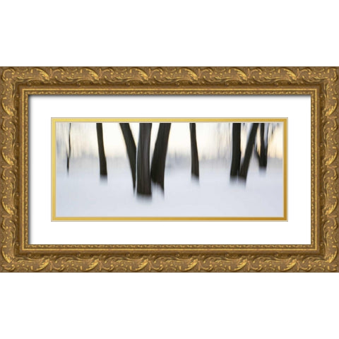 Canada, Ottawa, Ottawa River Abstract of trees Gold Ornate Wood Framed Art Print with Double Matting by Young, Bill